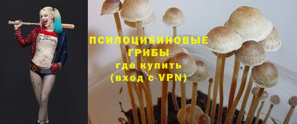 МДПВ Новокубанск