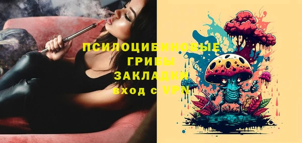 МДПВ Нягань