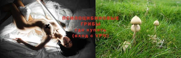 МДПВ Новокубанск