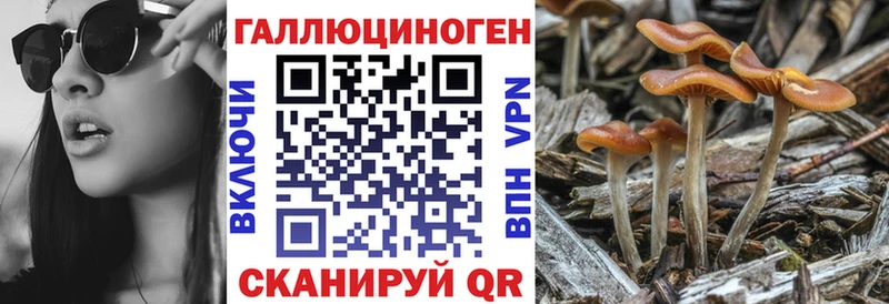 купить наркотики сайты  Карталы  Псилоцибиновые грибы Magic Shrooms 