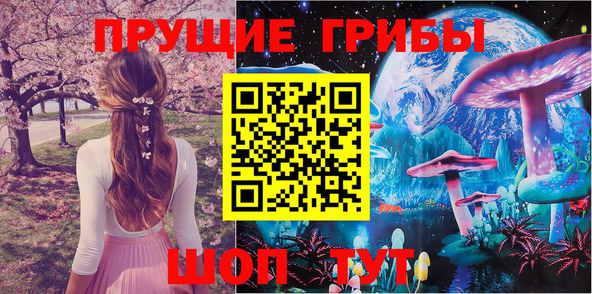 Псилоцибиновые грибы прущие грибы Карталы