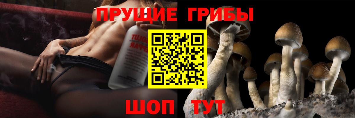 Карталы  Галлюциногенные грибы MAGIC MUSHROOMS  Галлюциногенные грибы мухоморы  Вход с VPN 